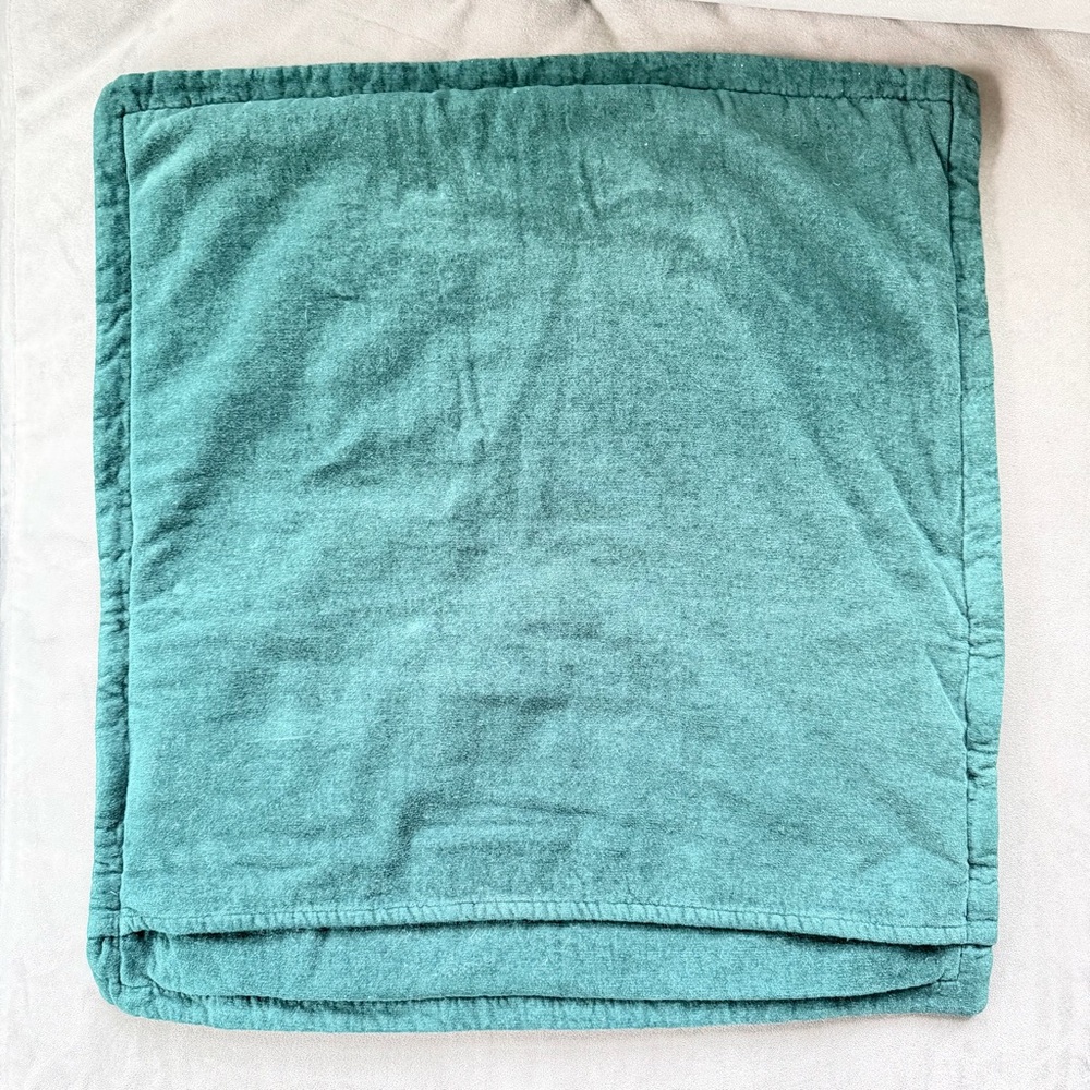 CB2 Green Throw Pillow Covers - Picture 4 of 7